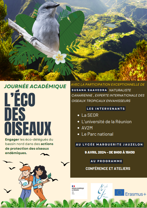 L'éco des oiseaux