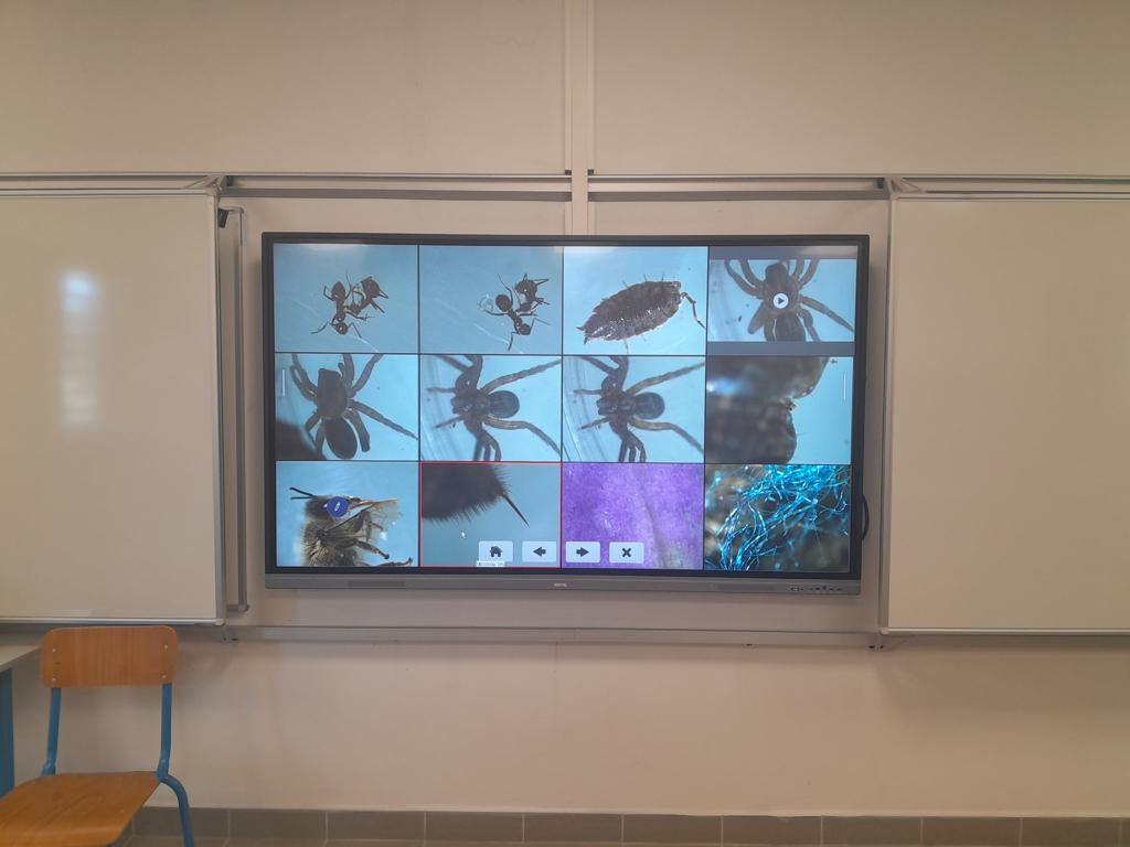 CNR - Estella clain tableau interactif 