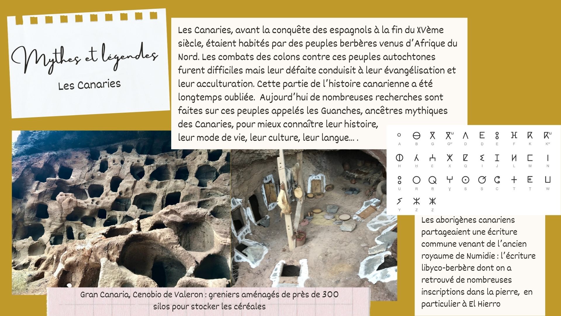 daac-erasmus-culture canaries