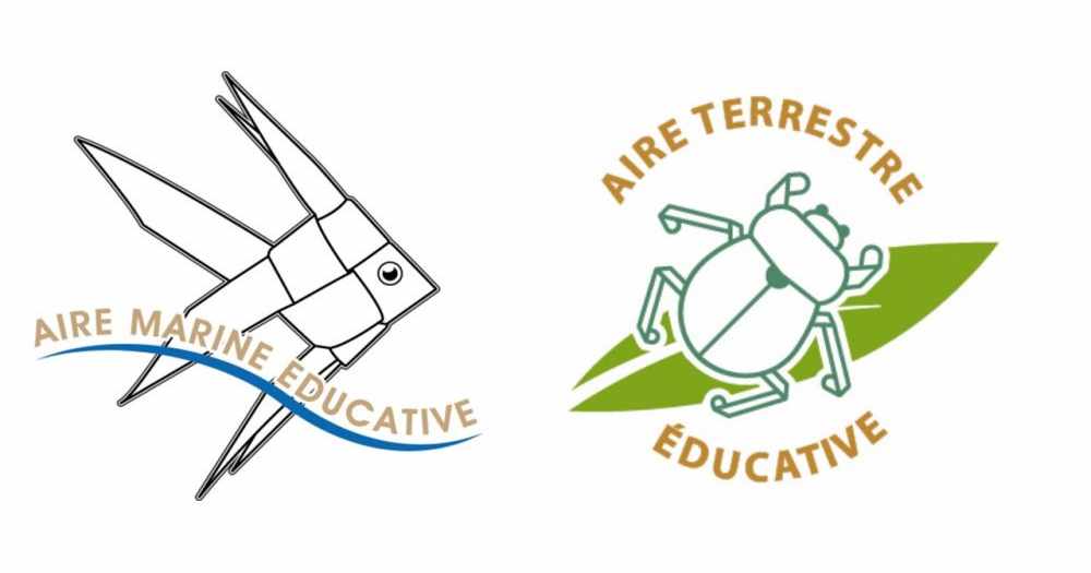 Logo AE
