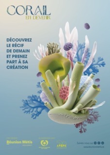 Corail en Devenir - Reunion Metis 2025