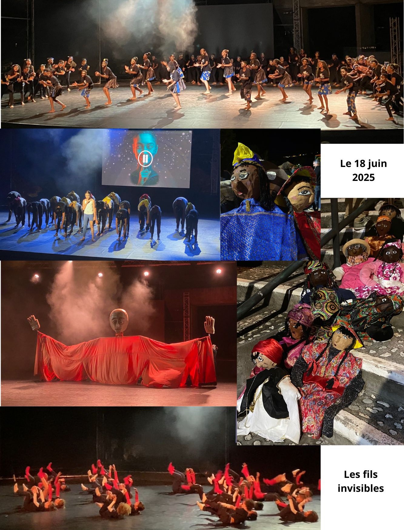 DAAC - arts dans les arbres 2025