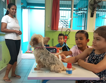 Education au bien-etre animal 2025 Younousse Issa