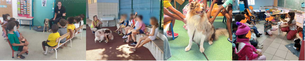 Projets Education bientraitance animale Ac Réunion 24-25