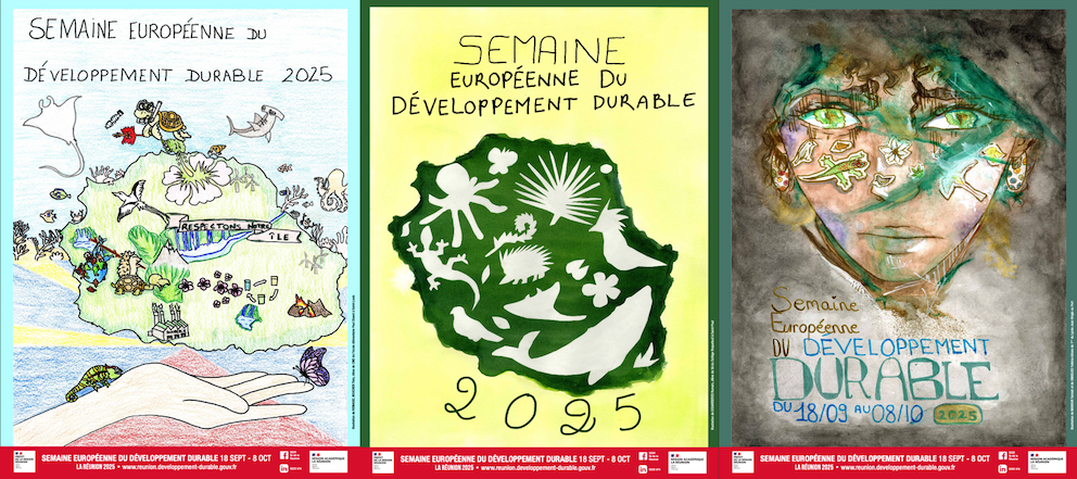 Dessins Lauréats de la SEDD 2025 de La Réunion