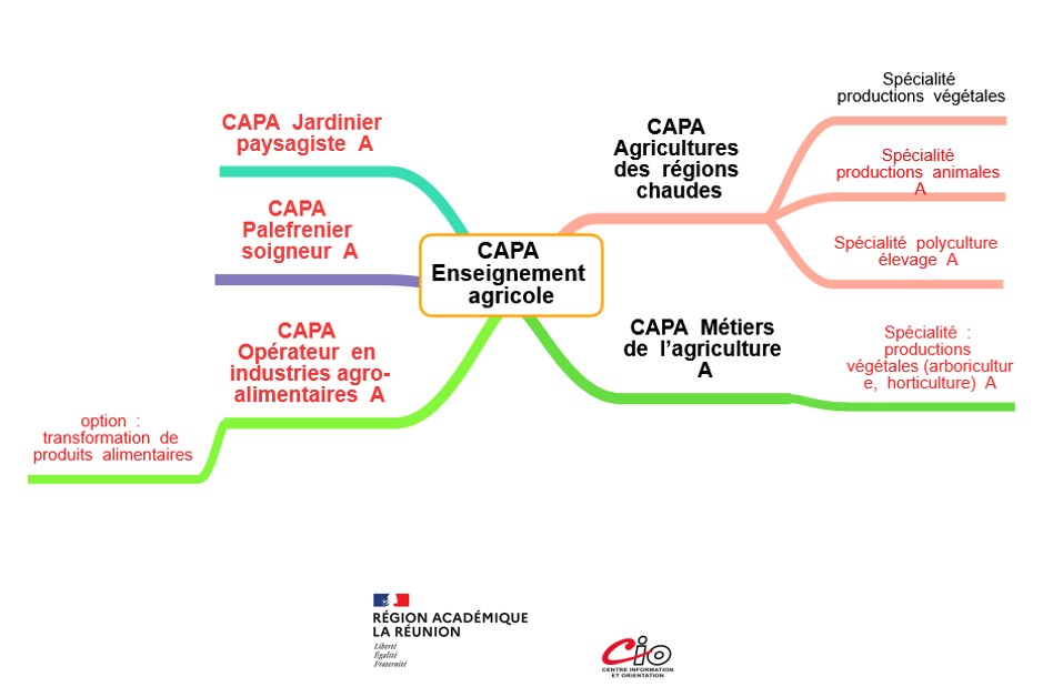 CAPA