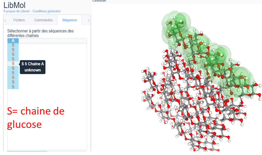 Observation 3D des feuillets de cellulose avec libmol