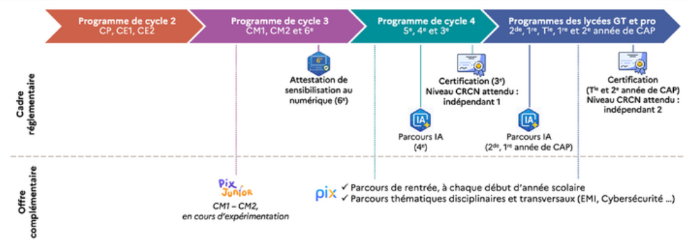 Infographie présentant la place de Pix dans le développement des compétences numériques des élèves du cycle 3 au lycée