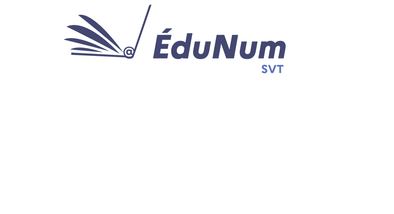Logo_EduNumSVT