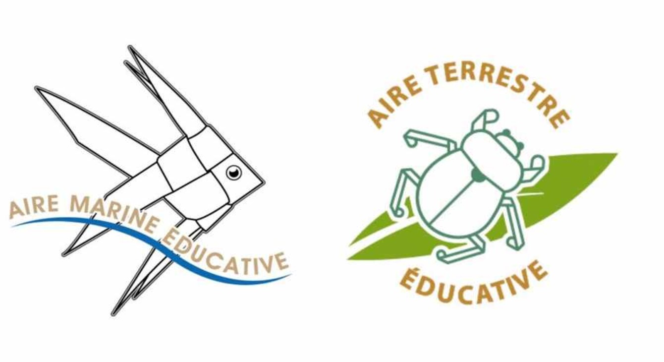Logo AE