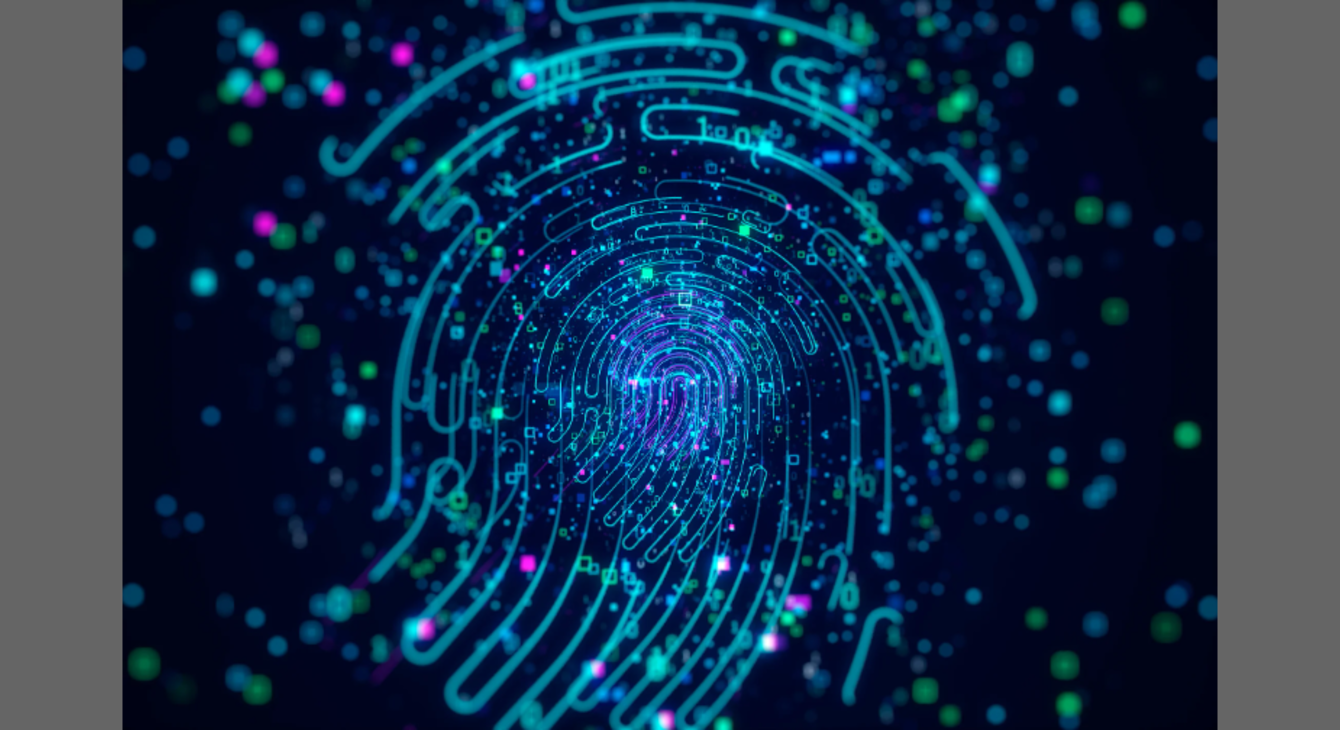 Bilan classe défense - Empreintes digitales