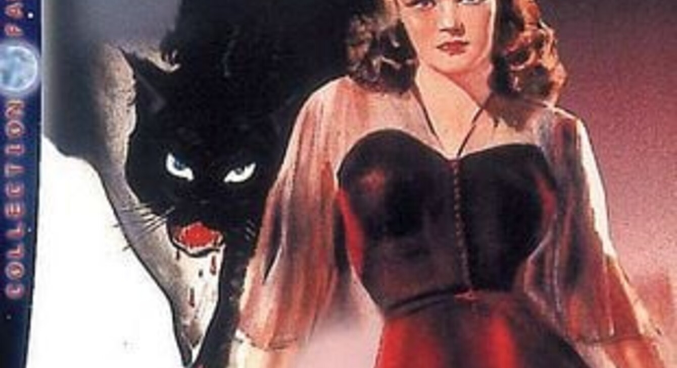 affiche film la féline