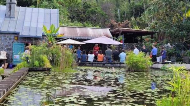 La première journée de la formation s'est déroulée au Jardin botanique Mascarin