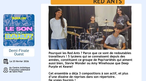 sd26-eaio-red-ants