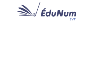 Logo_EduNumSVT