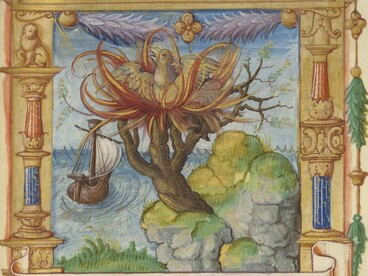le phenix une enluminure du moyen age