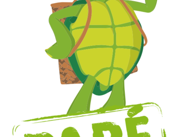 Paré pas Paré